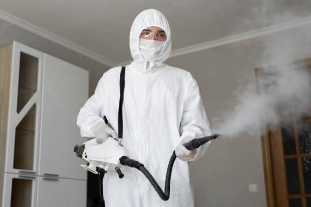 Why You Should Choose Our Mold Remediation Services in Collings Lakes, NJ